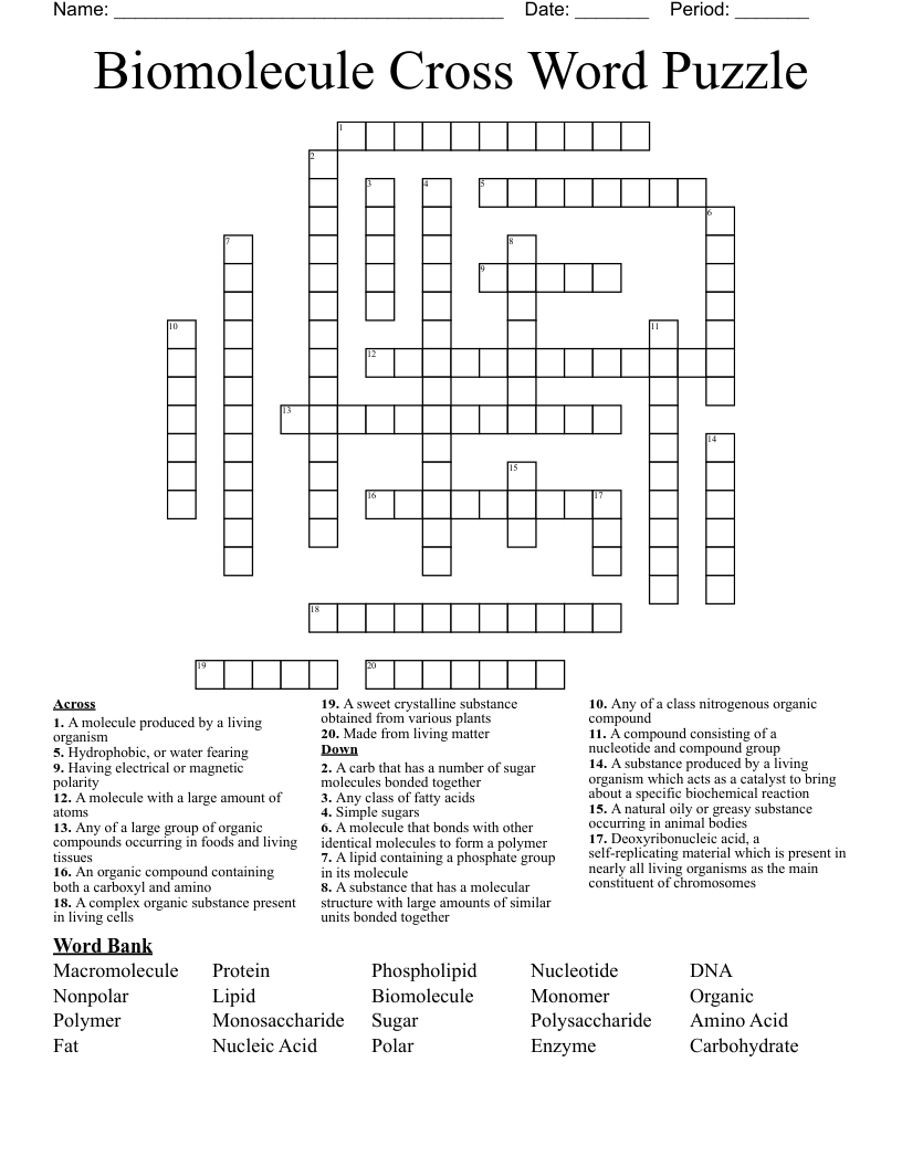 Biomolecule Cross Word Puzzle