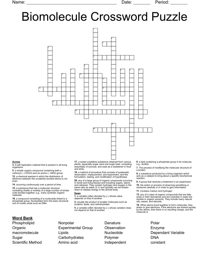 Biomolecule Crossword Puzzle
