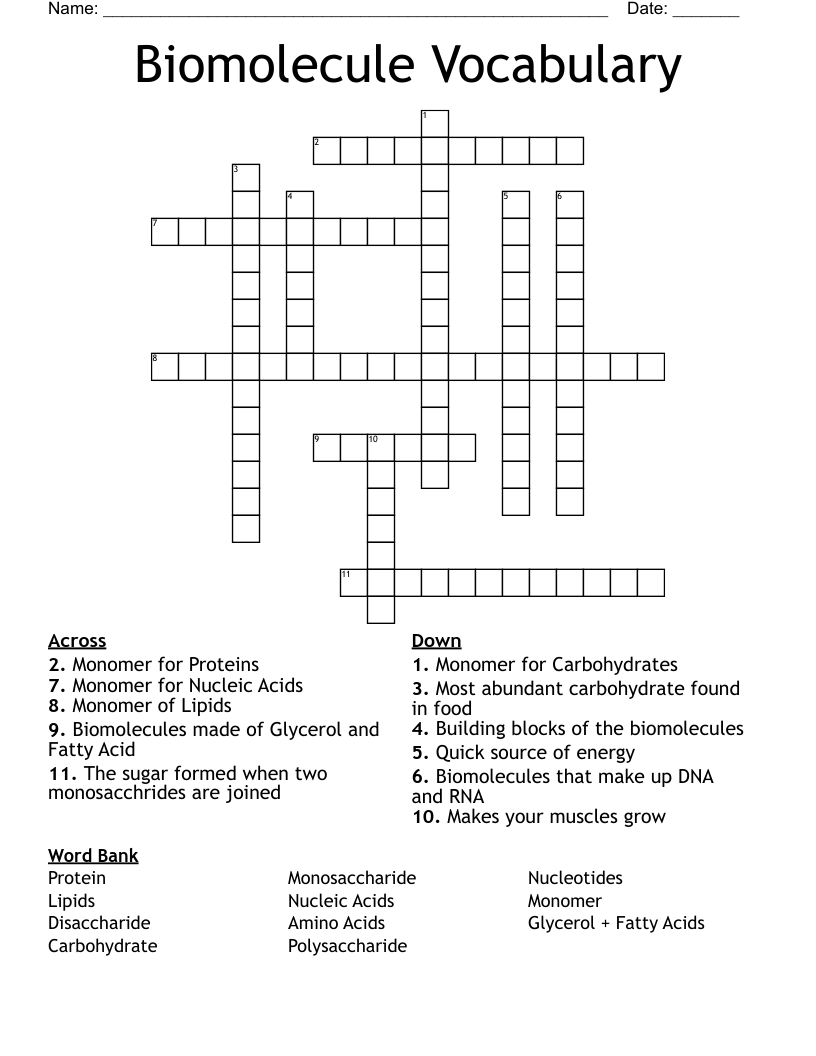Biomolecule Vocabulary Crossword