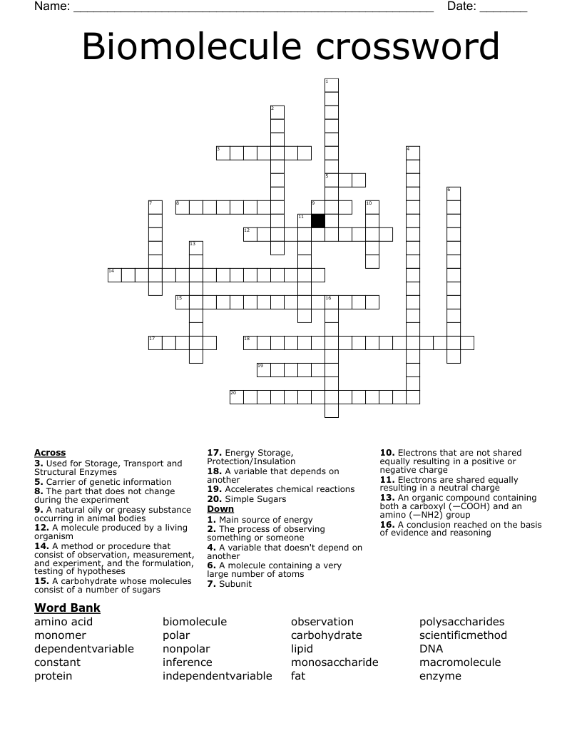 Biomolecule crossword