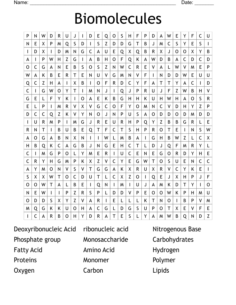 Biomolecules Word Search