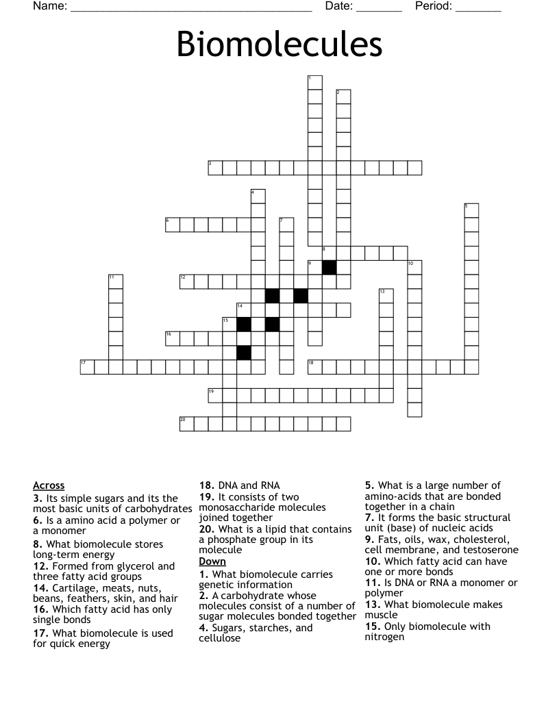 Biomolecules Crossword
