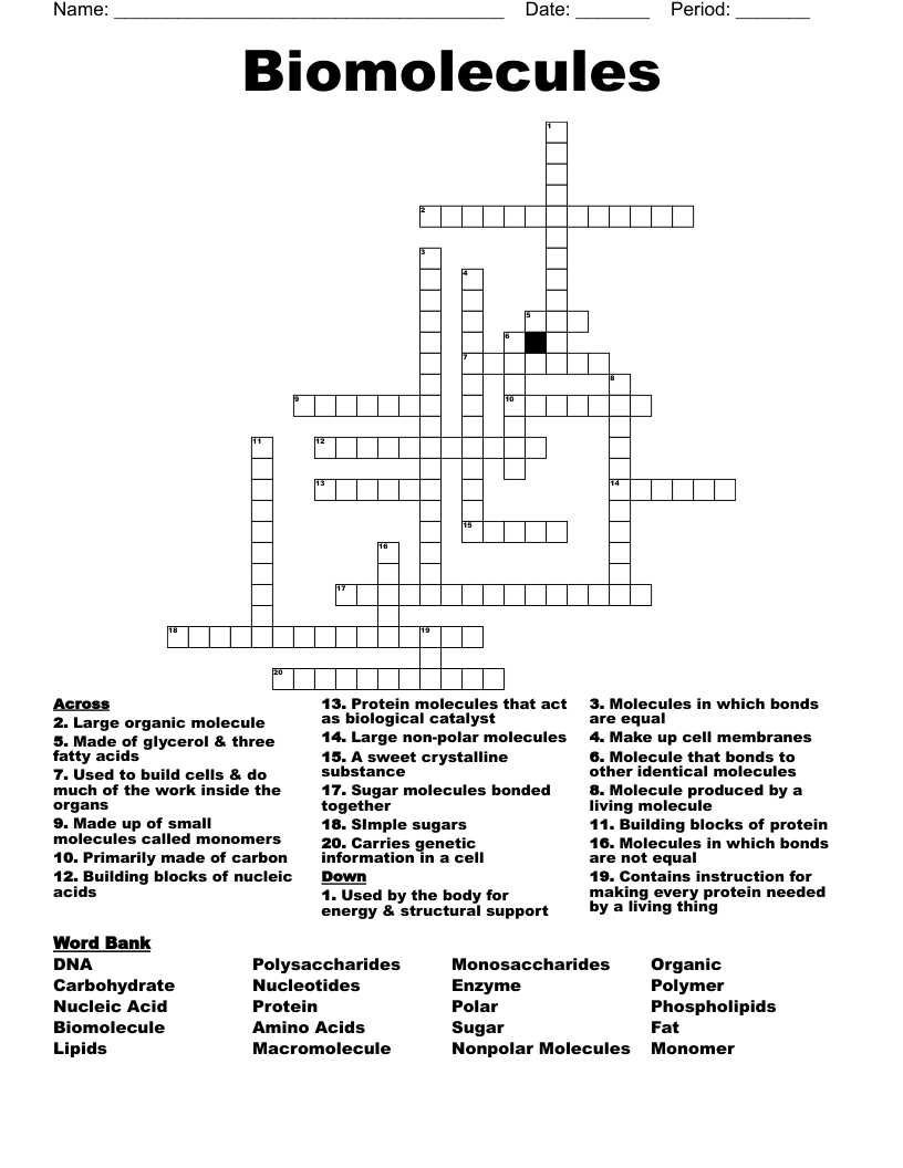 Biomolecules Crossword