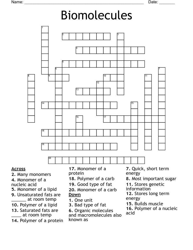 Biomolecules Crossword