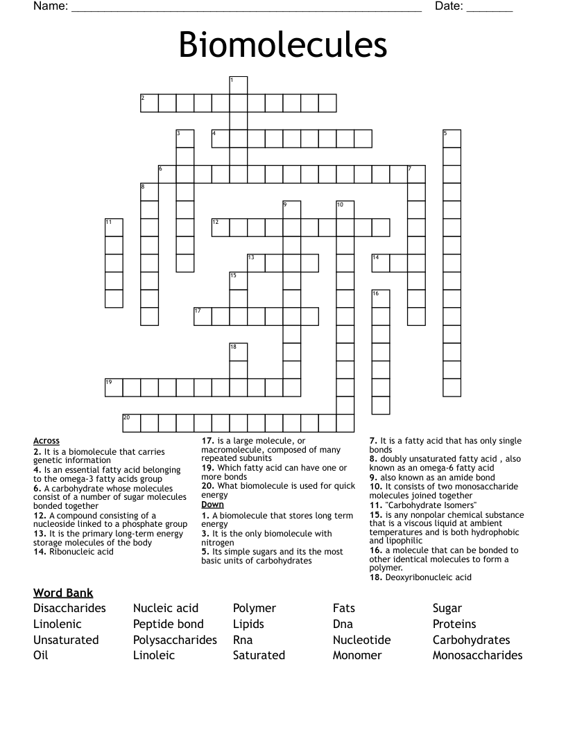 Biomolecules Crossword