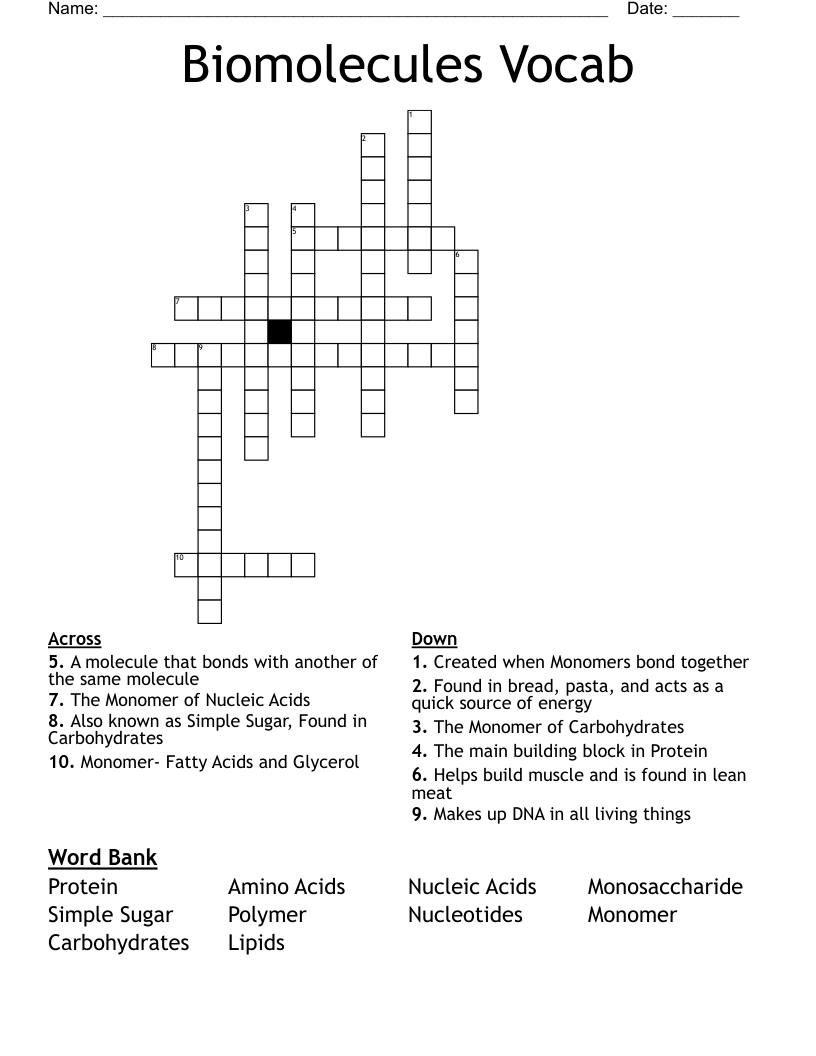 Biomolecules Vocab  Crossword