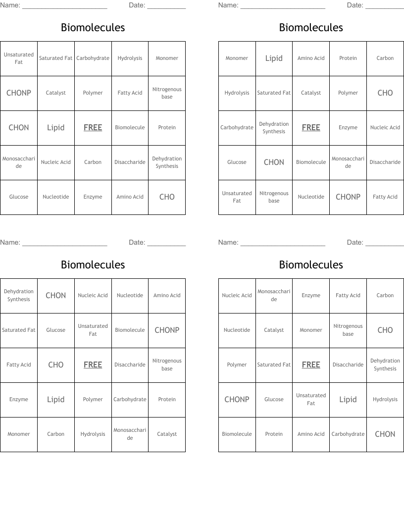 Biomolecules  Bingo Cards