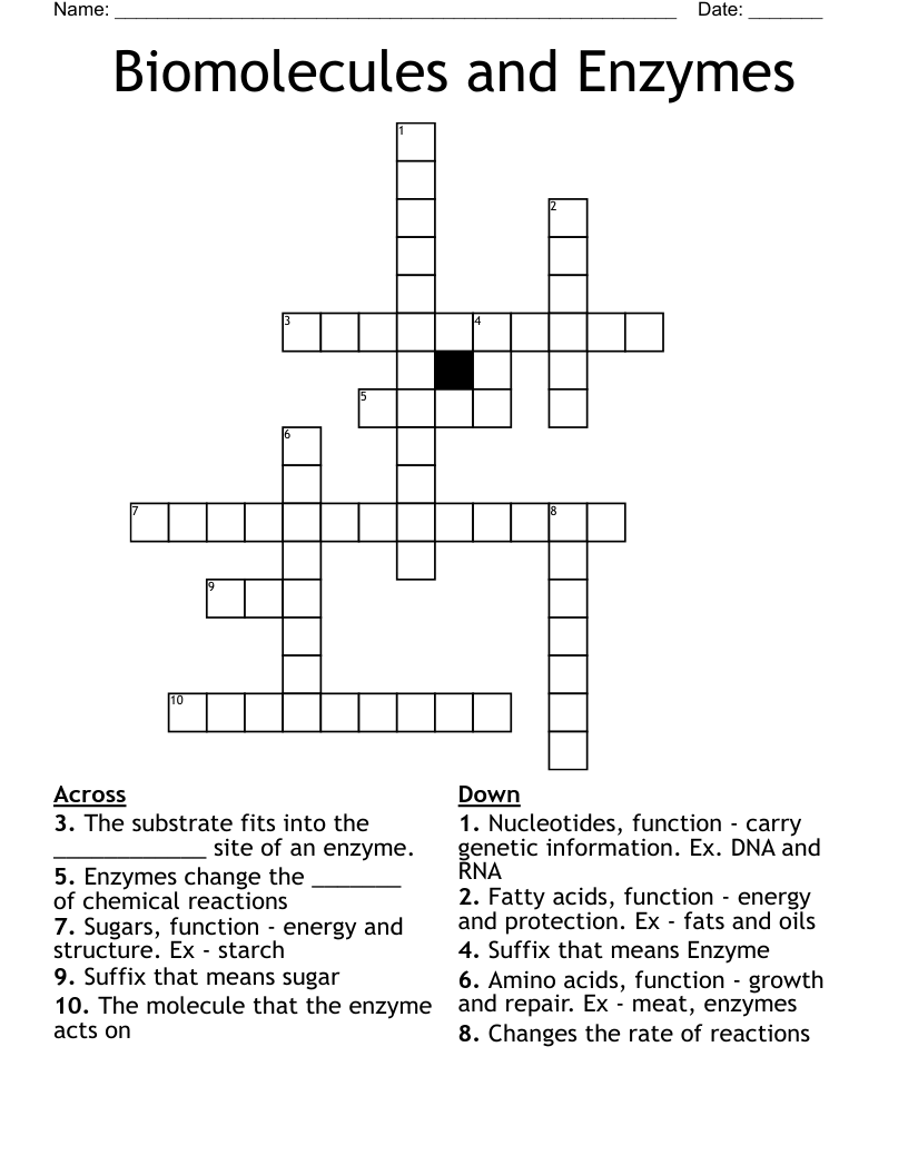 Biomolecules and Enzymes Crossword