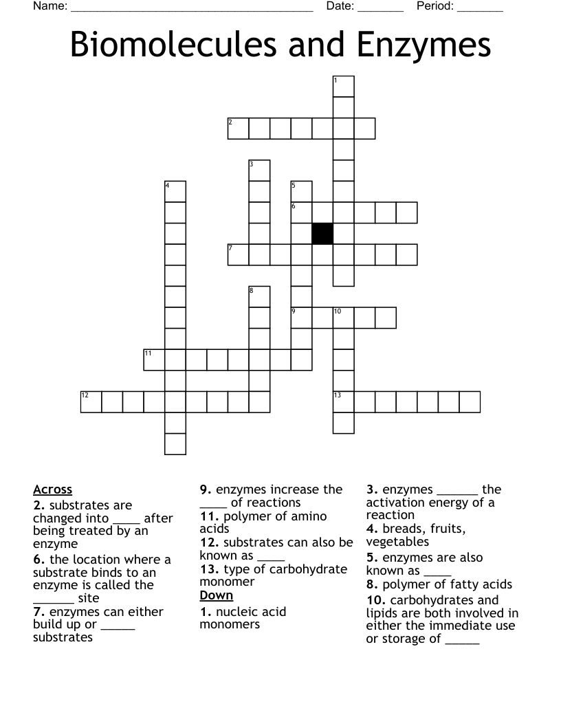 Biomolecules and Enzymes Crossword