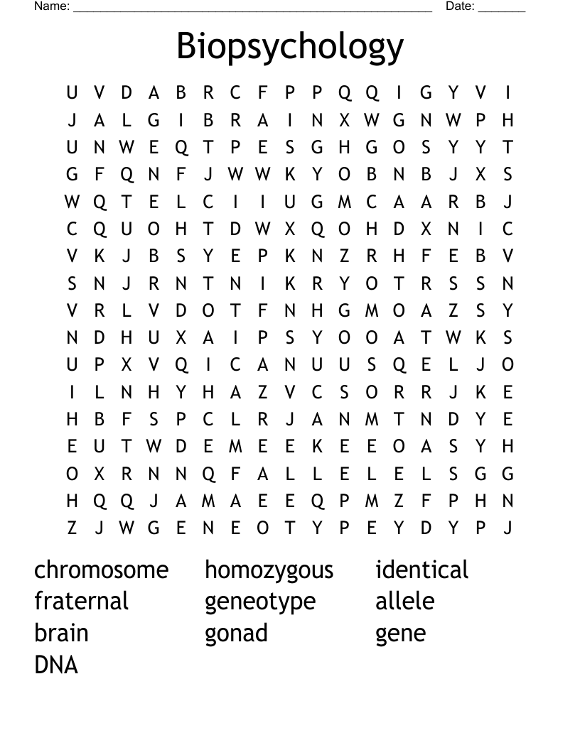 Biopsychology  Word Search
