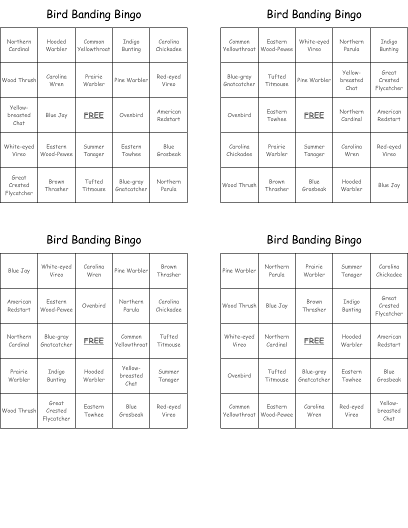 Bird Banding Bingo