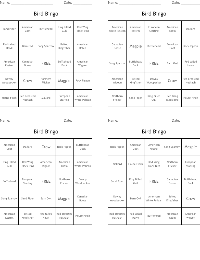 Bird Bingo