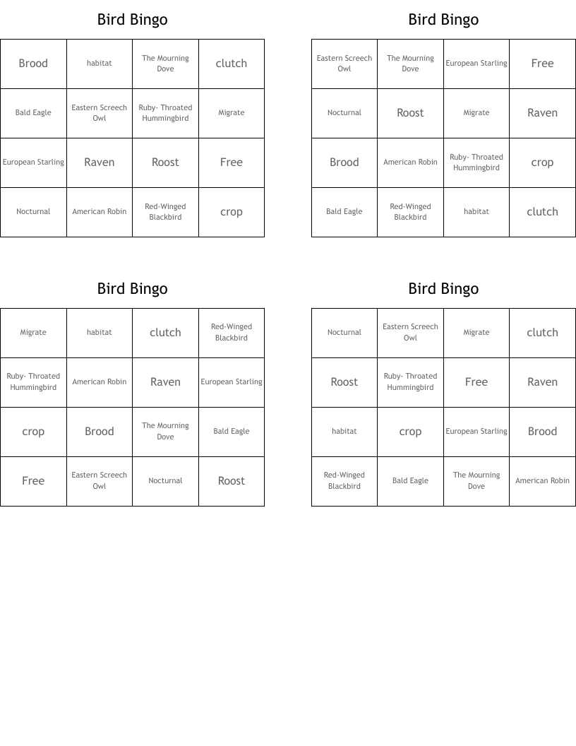 Bird Bingo