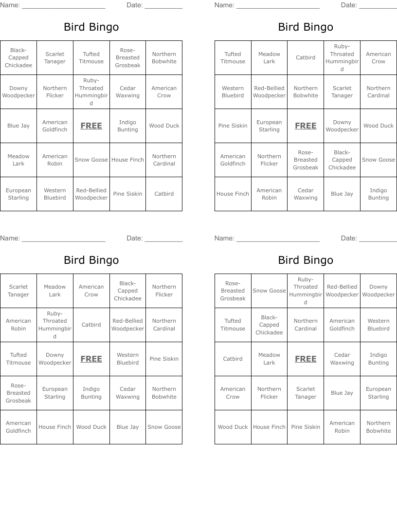 Bird Bingo