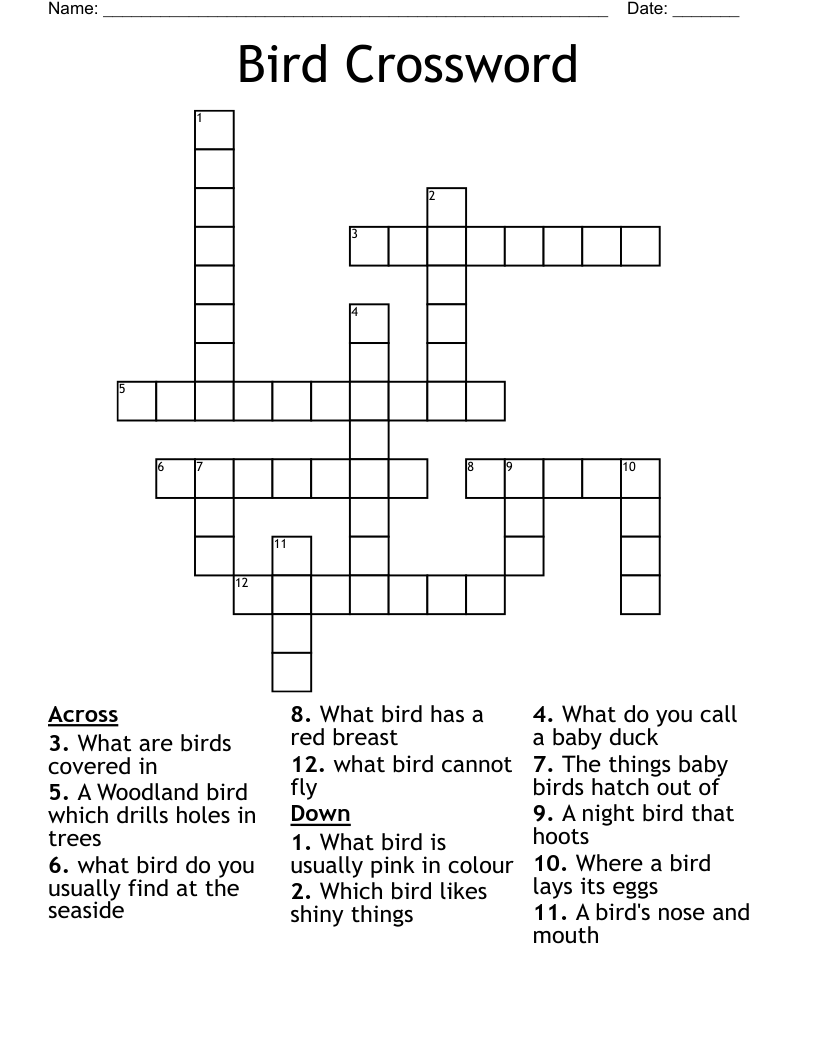 Bird Crossword