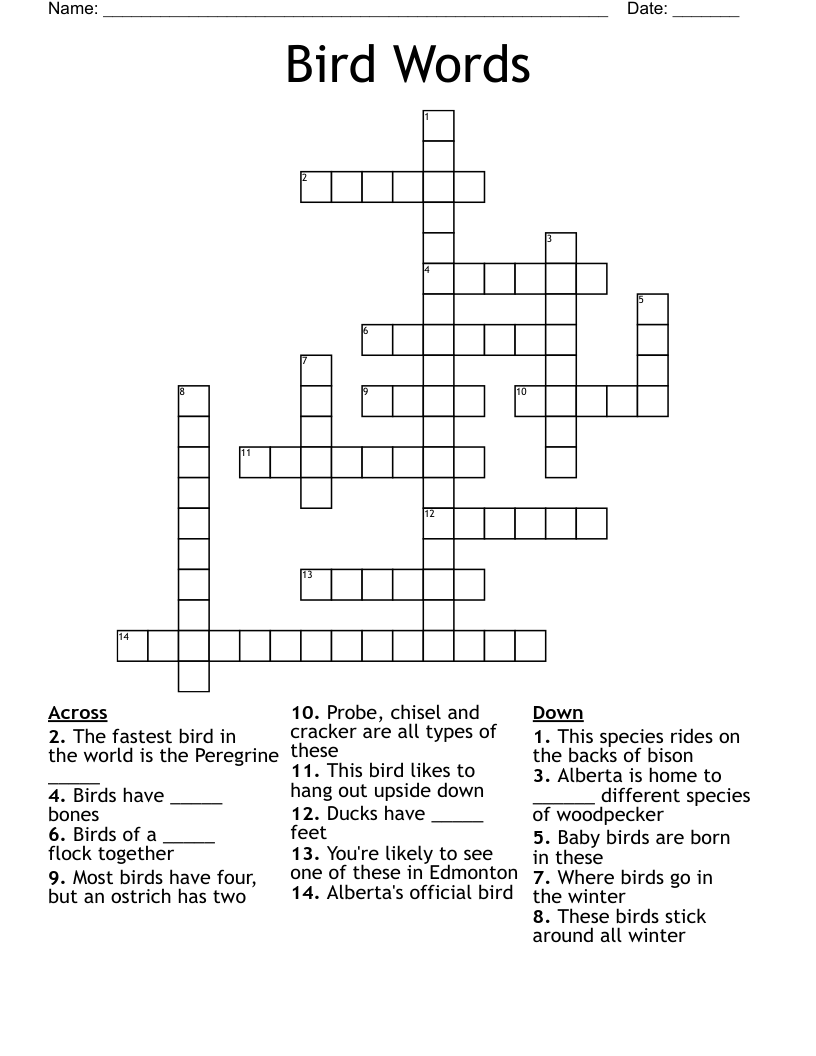 Bird Words Crossword