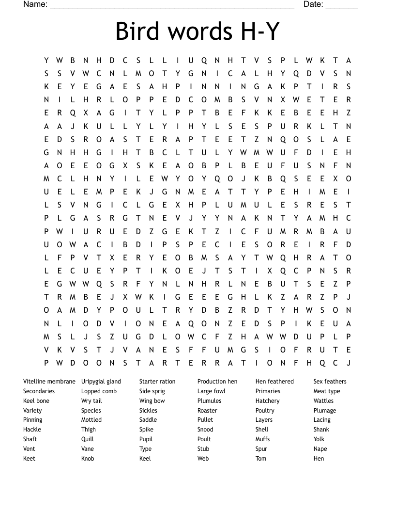 Bird words H-Y Word Search