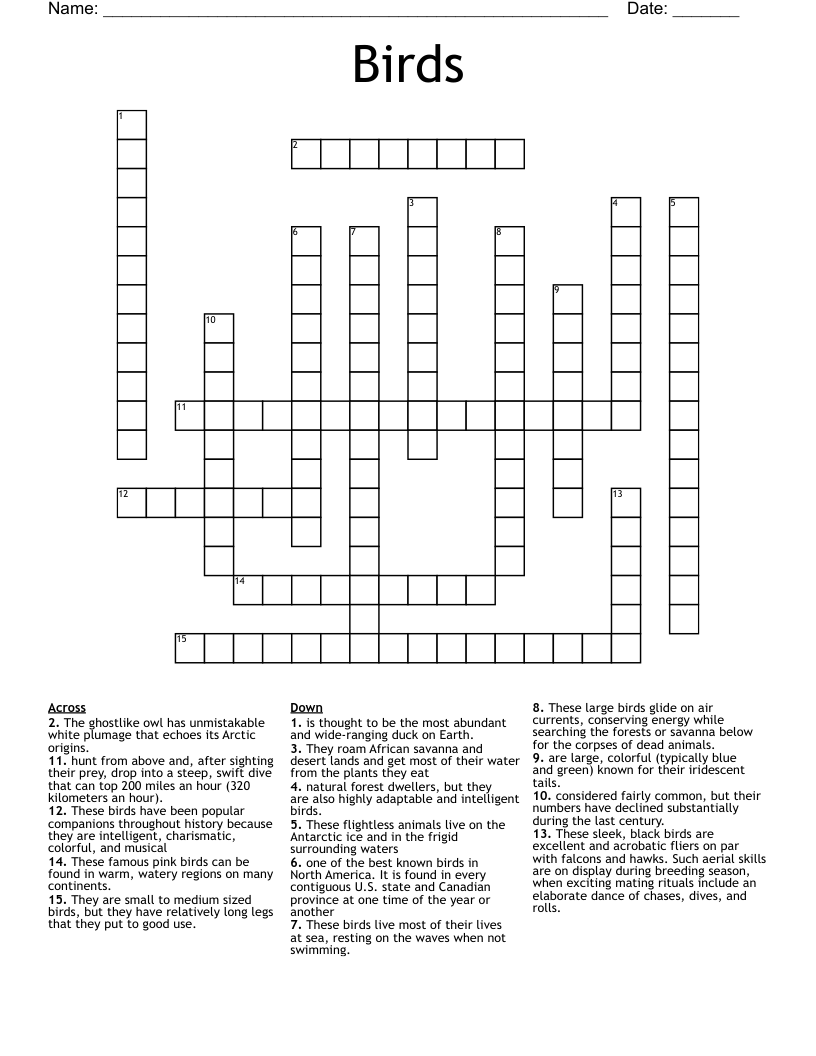 Birds Crossword