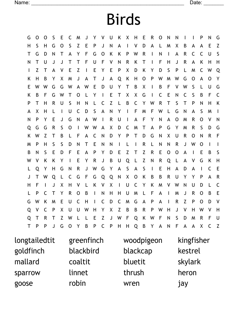 Birds Word Search