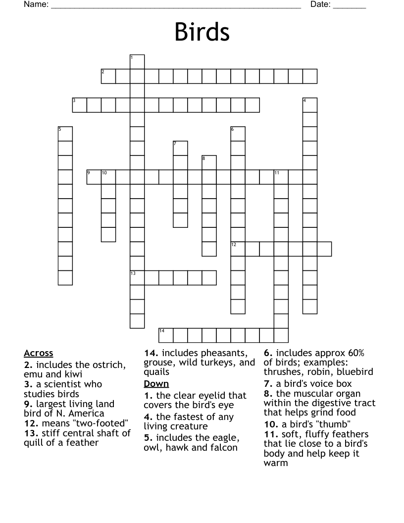 Birds Crossword