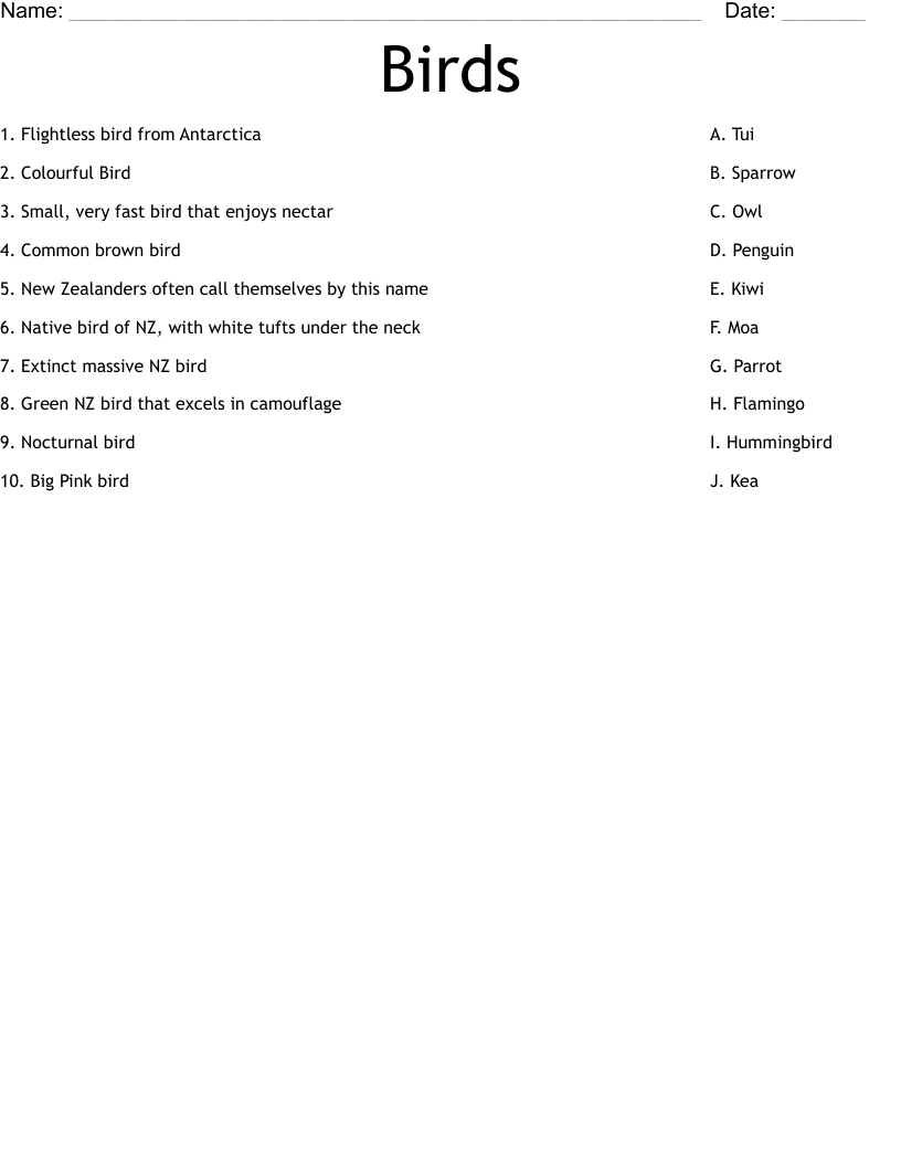 Birds Worksheet
