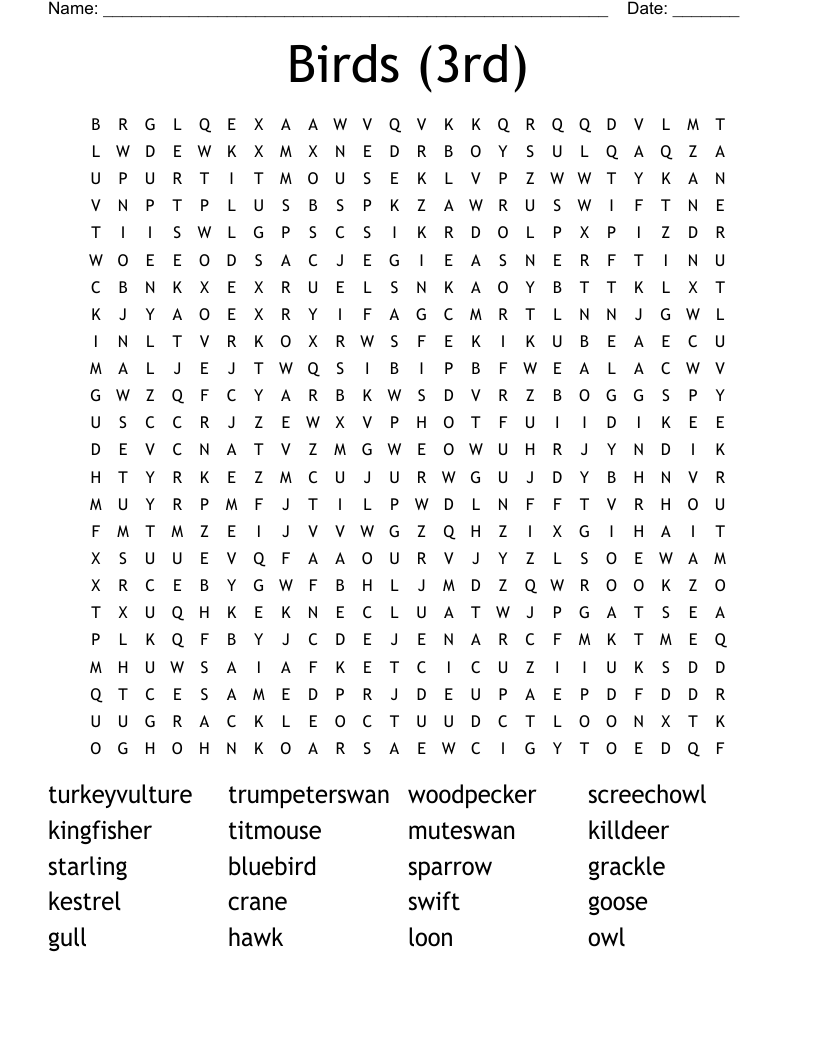 Birds (3rd) Word Search
