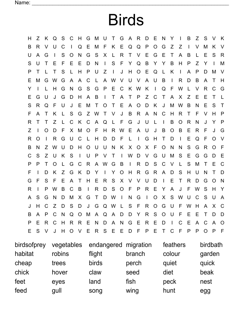 Birds Word Search
