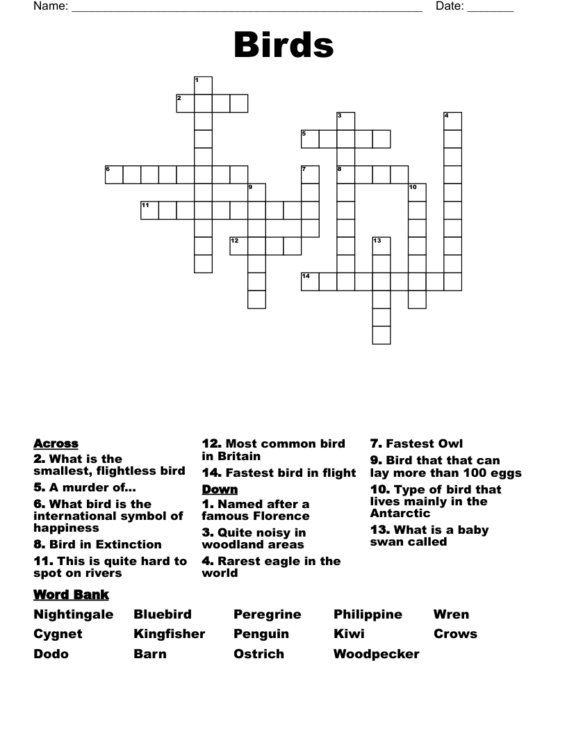 Birds Crossword