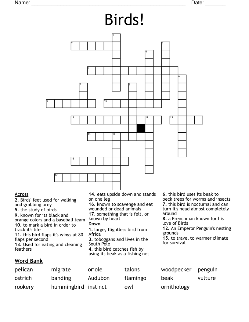 Birds! Crossword