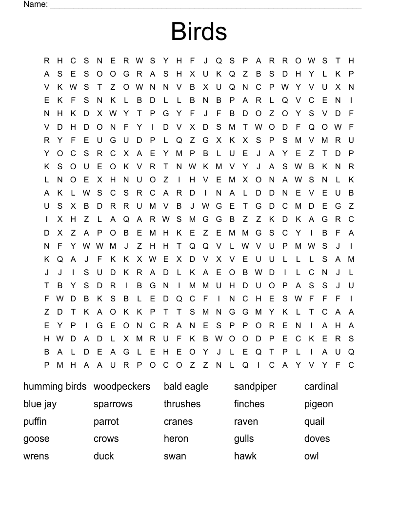 Birds Word Search