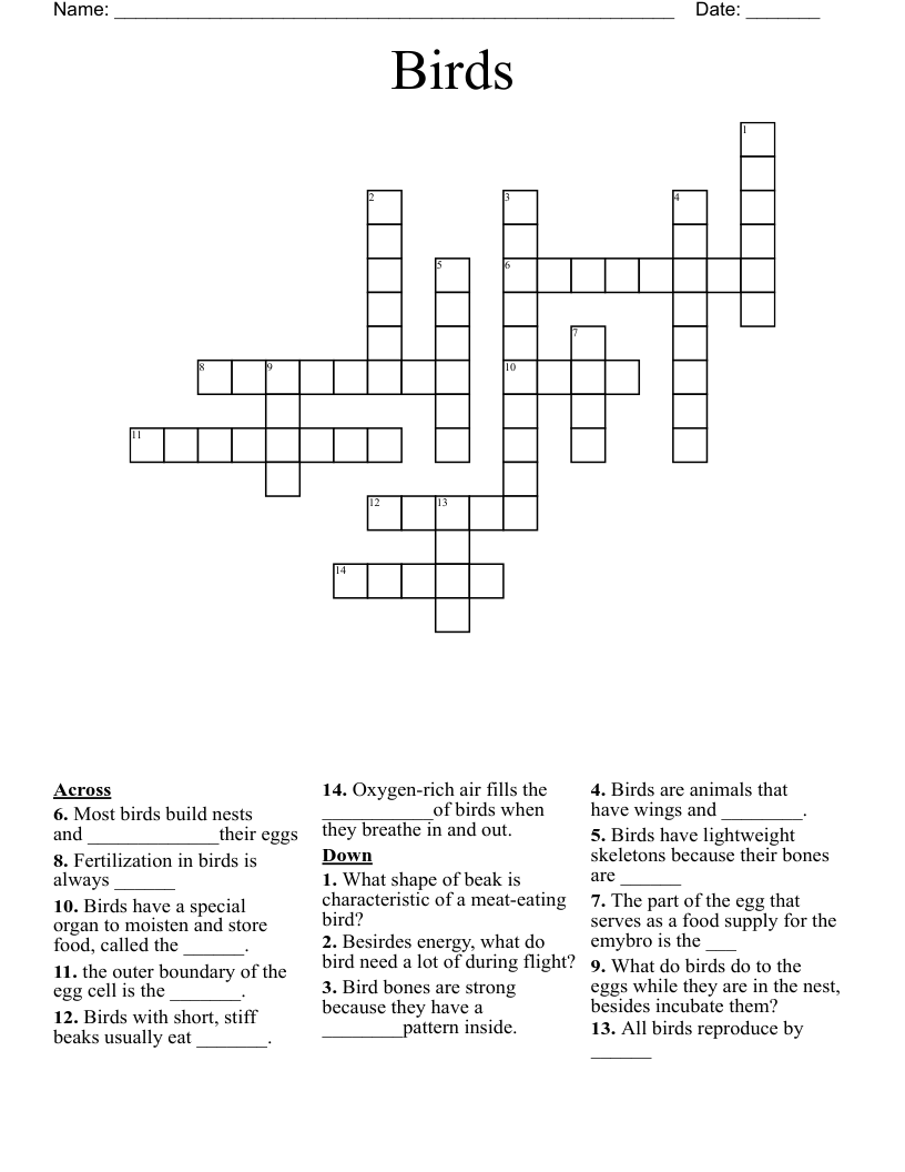 Birds Crossword
