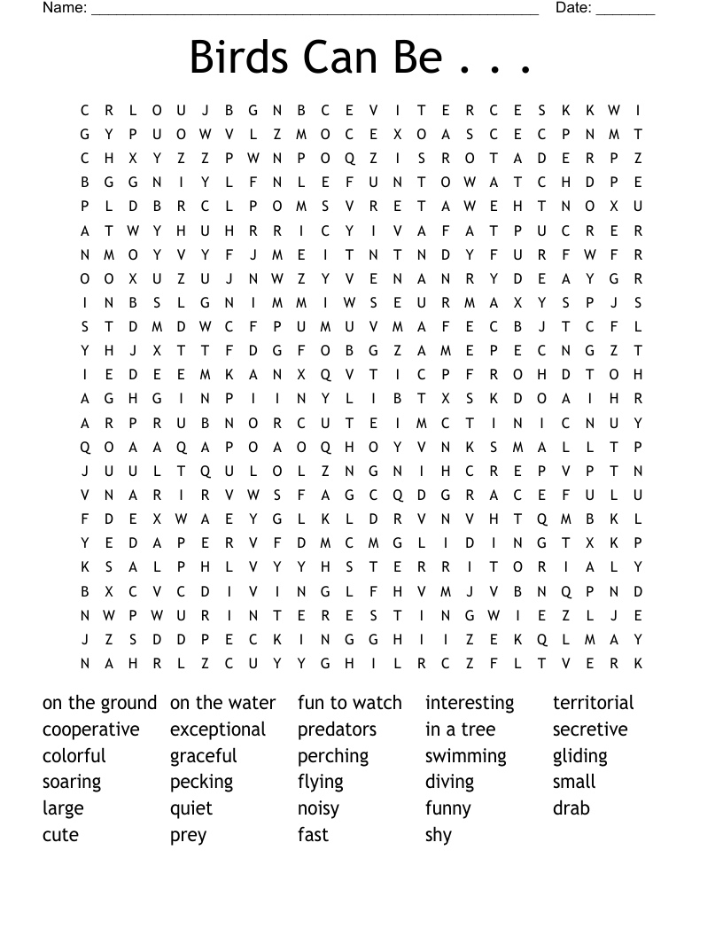 Birds Can Be . . .  Word Search
