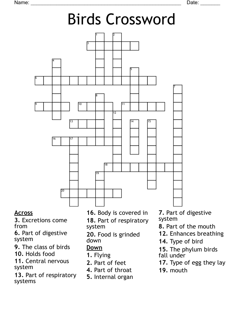 Birds Crossword