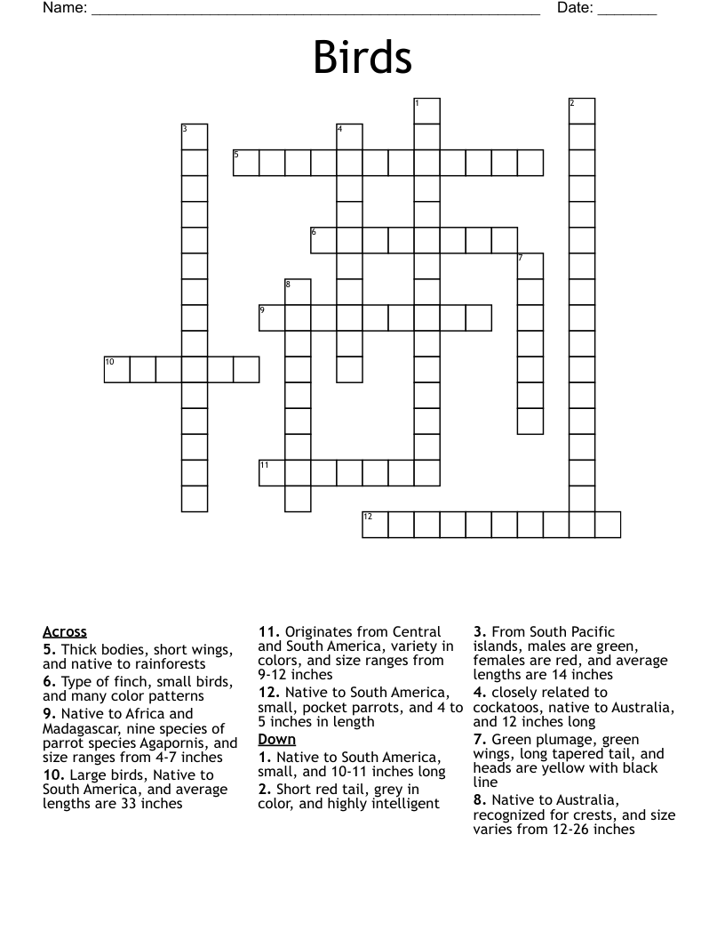 Birds  Crossword