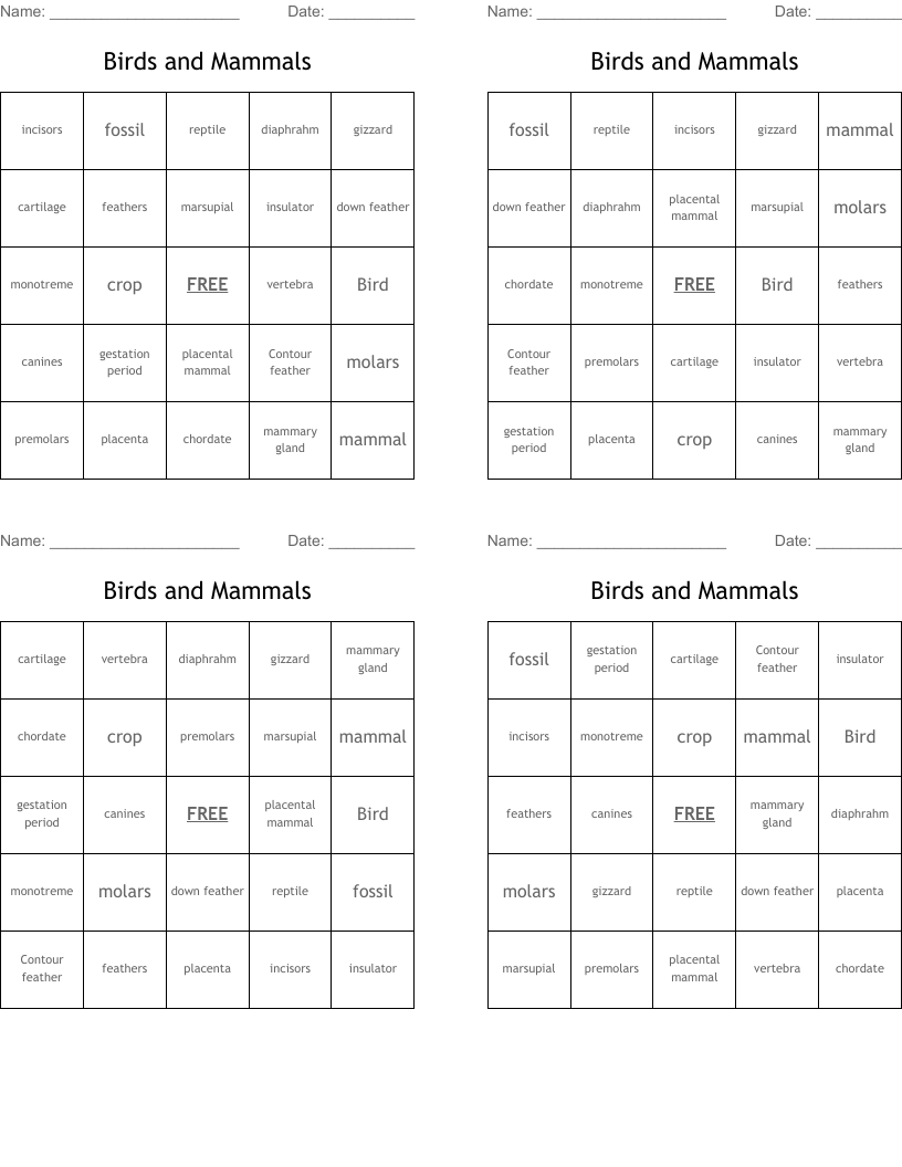 Birds and Mammals Bingo Cards