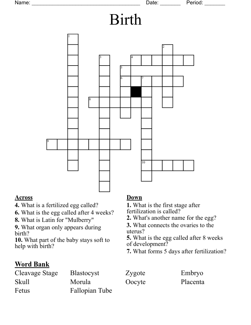 Birth Crossword