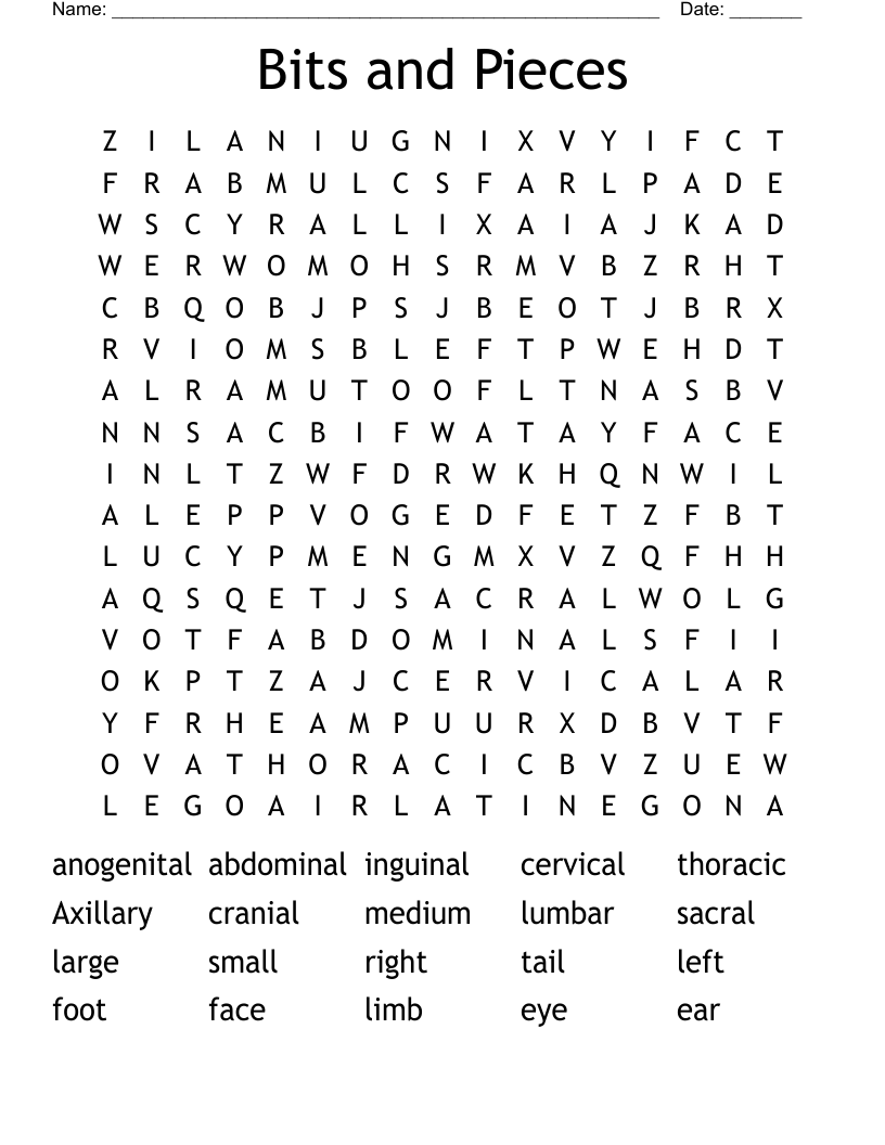 Bits and Pieces Word Search