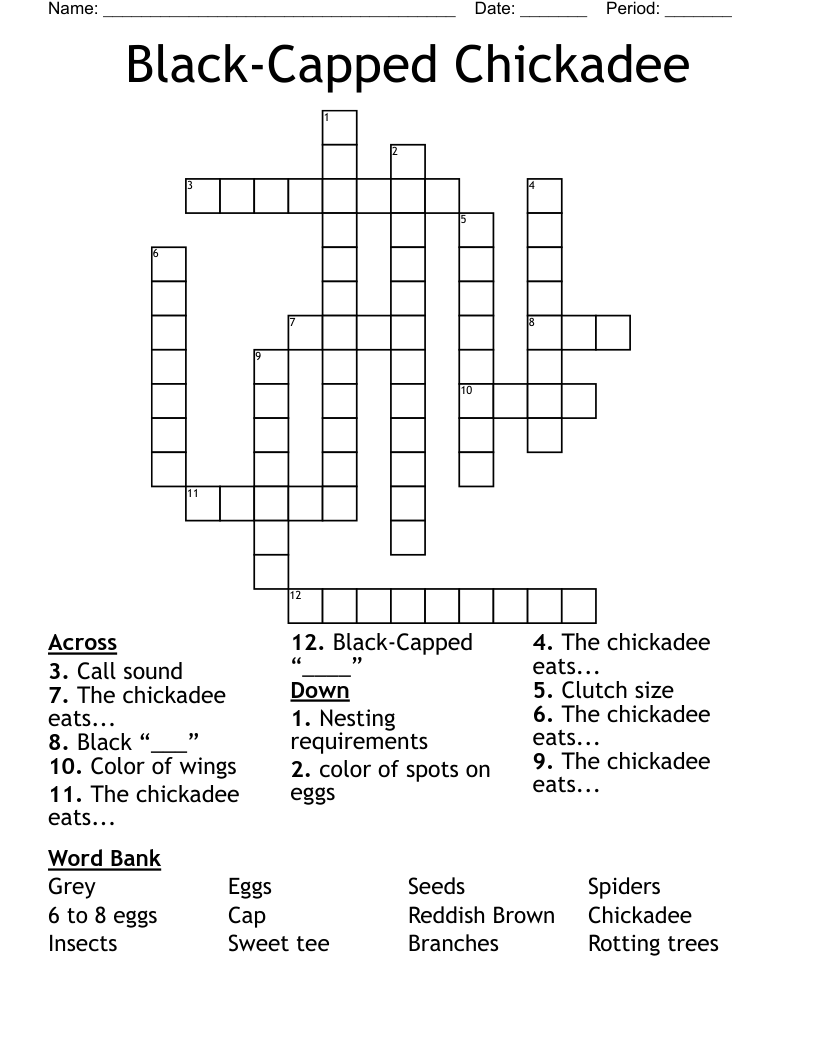 Black-Capped Chickadee Crossword