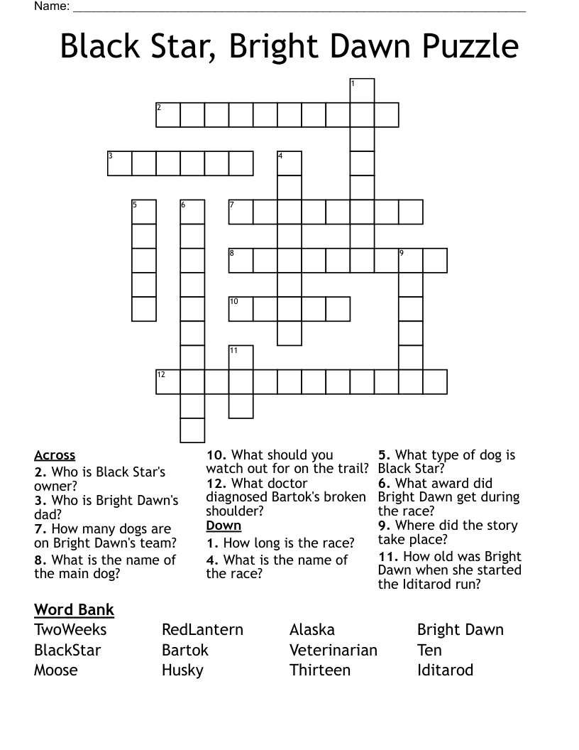 Black Star, Bright Dawn Puzzle Crossword