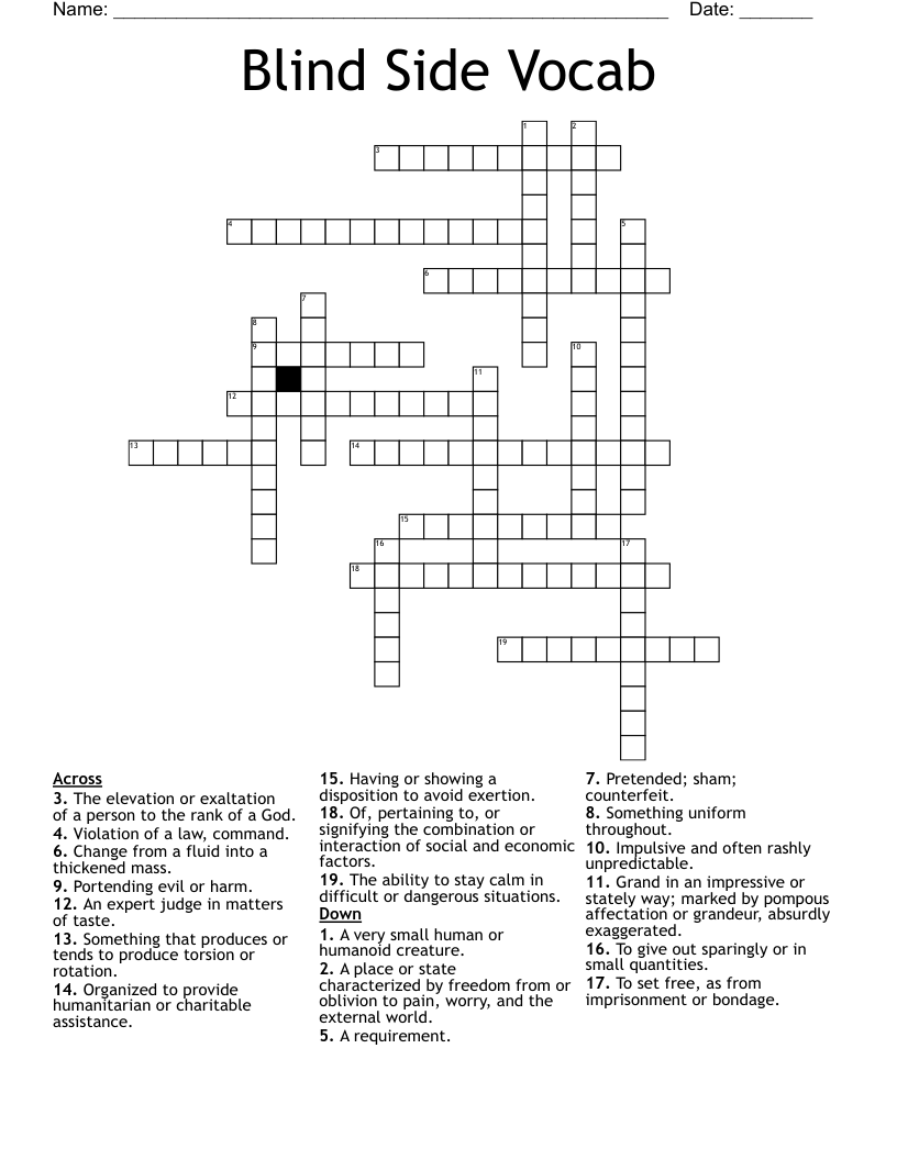 Blind Side Vocab Crossword