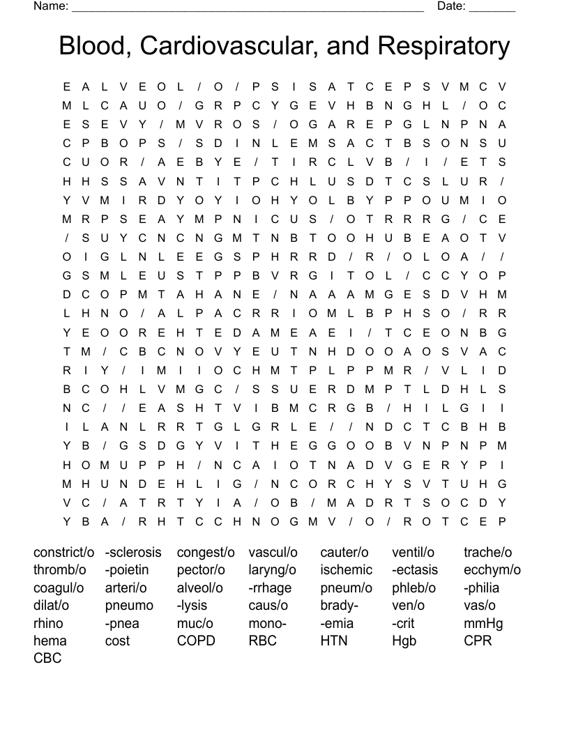 Blood, Cardiovascular, and Respiratory Word Search