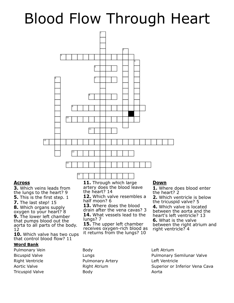 Blood Flow Through Heart Crossword