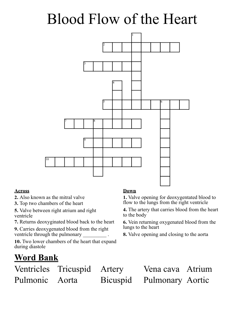 Blood Flow of the Heart Crossword