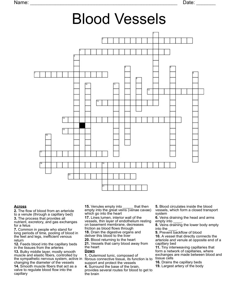 Blood Vessels Crossword