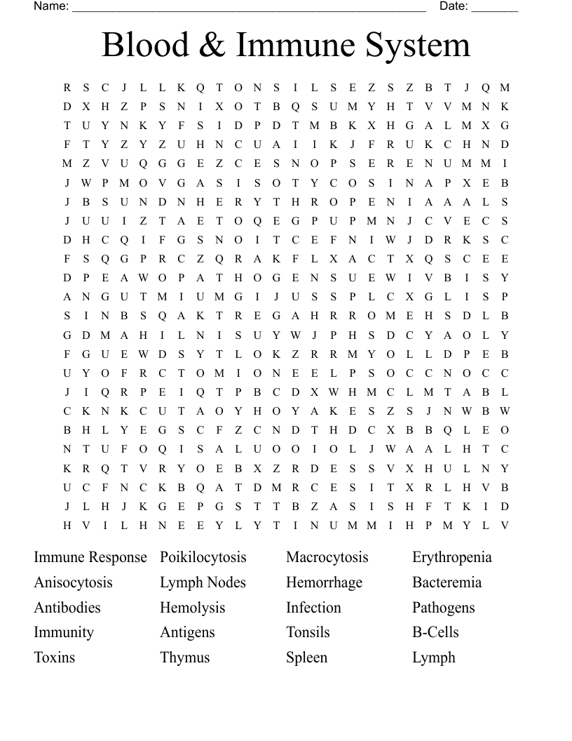Blood & Immune System Word Search