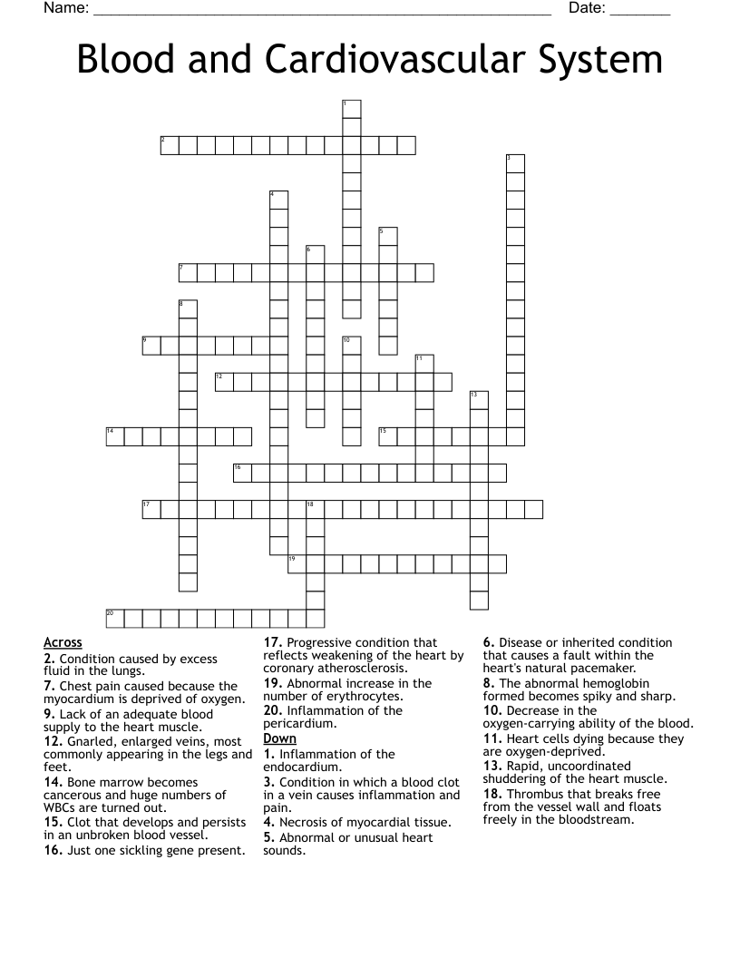 Blood and Cardiovascular System Crossword