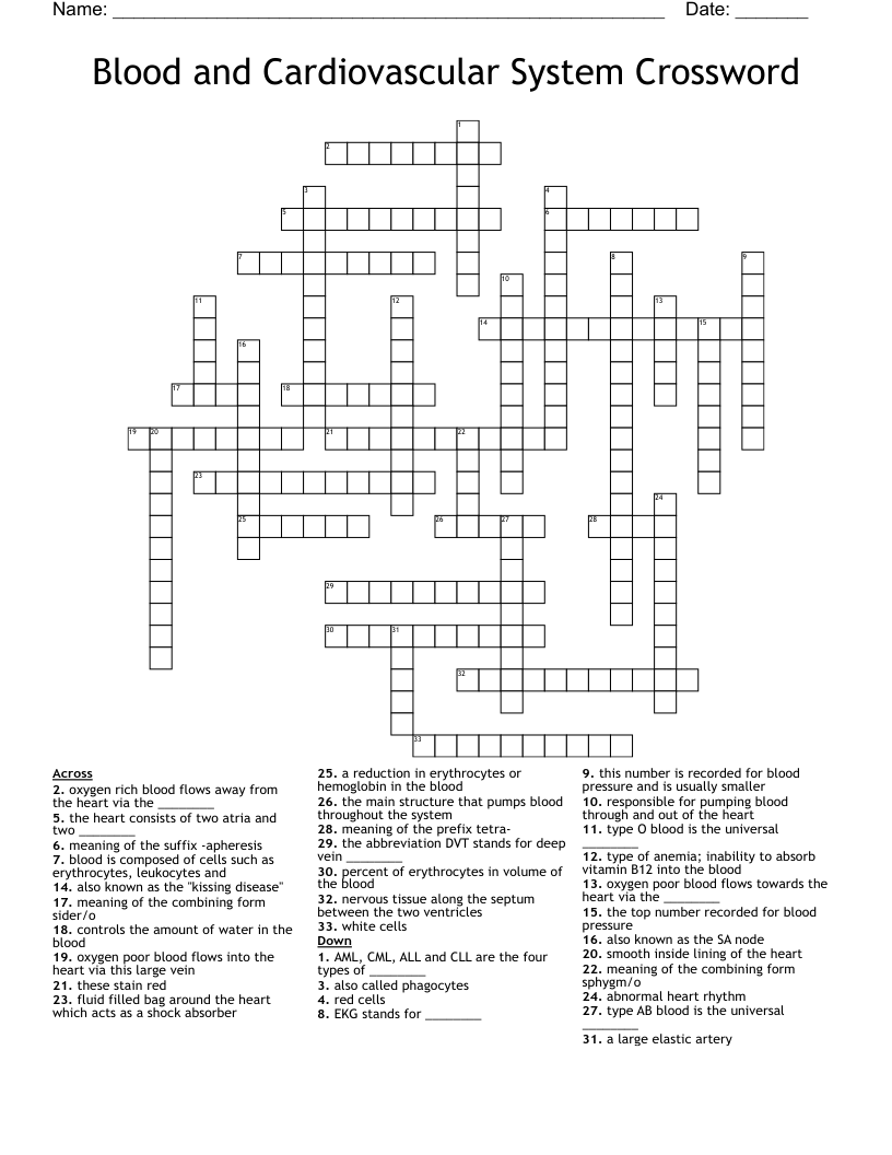 Blood and Cardiovascular System Crossword