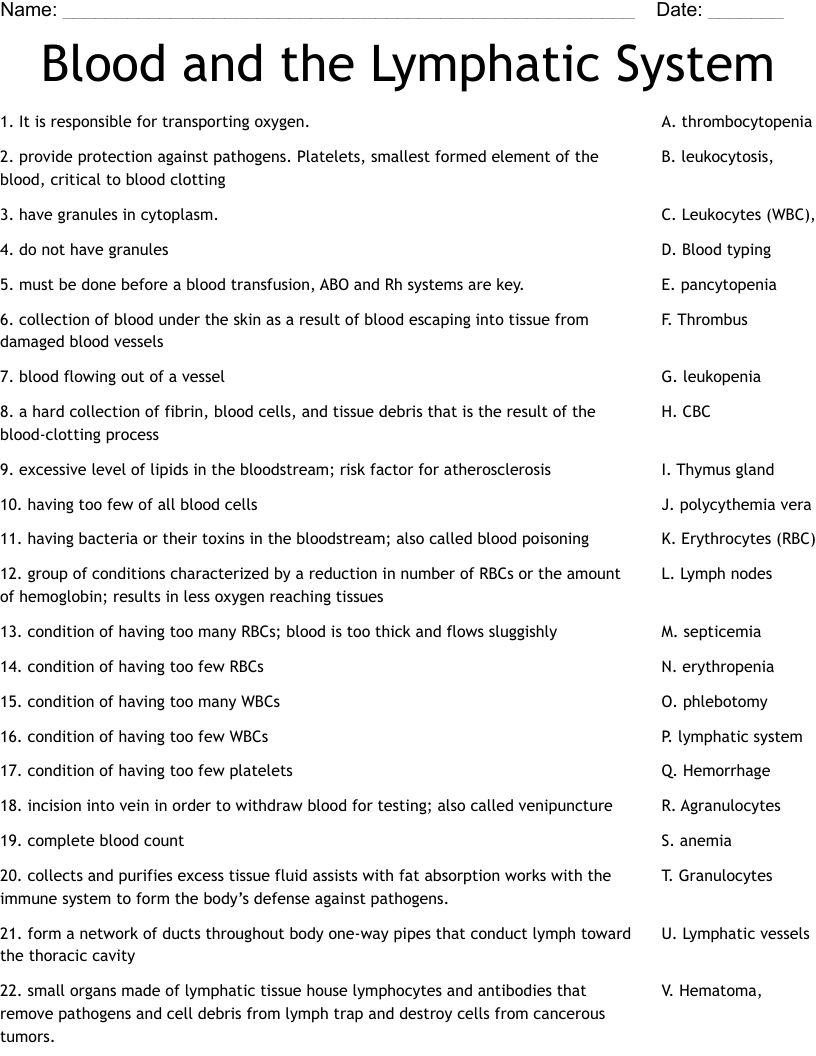Blood and the Lymphatic System Worksheet