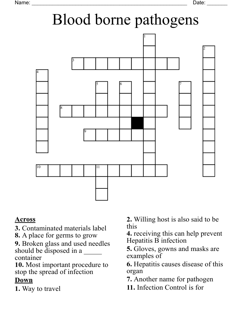 Blood borne pathogens Crossword