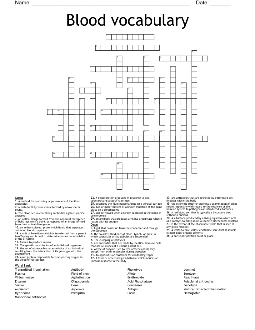 Blood vocabulary  Crossword